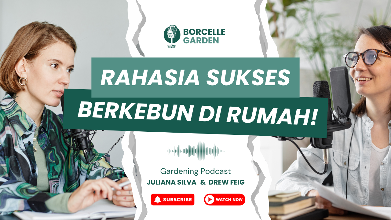 Web Development dengan CodeIgniter 4